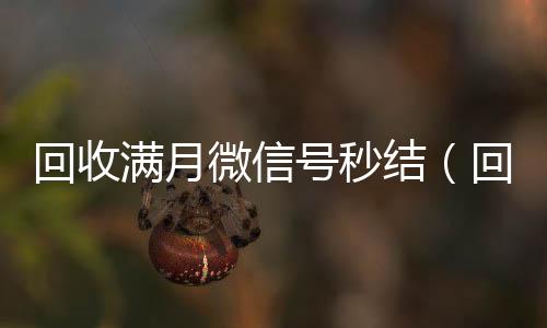回收满月微信回收微信在线交易号秒结（回收微信新号）