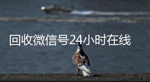 回收微信号24小时在线回收微信平台秒结（2020年最新24小时回收微信号）