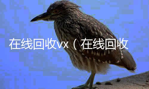在线回收v收vx秒结x（在线回收号价格）
