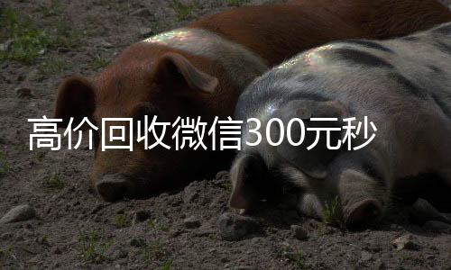 高价回收微信324小时收微信秒结账00元秒结（回收微信价格）