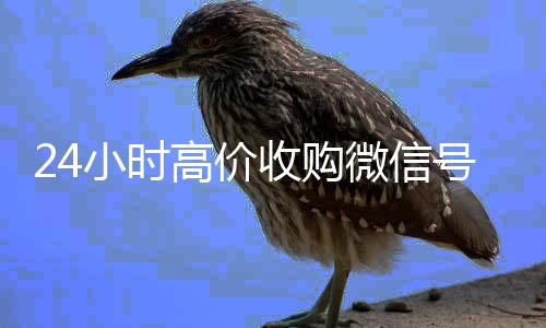 24小时高价收购微信高价回收vx300元秒结号（收购微信号平台 价格高 结账快）