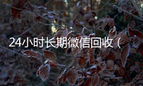 24小时长期微信回收vx秒结白号回收（24小时微信回收平台）