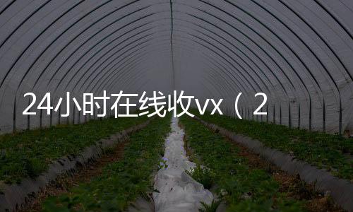 24小时在线收vx回收联系方式vx（24小时在线回复）