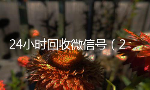 24小时回收微信微信回收联系方式号（24小时回收微信号是什么）