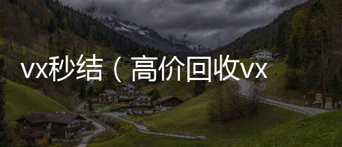 vx秒结（vx号回收平台秒接高价回收vx秒结）