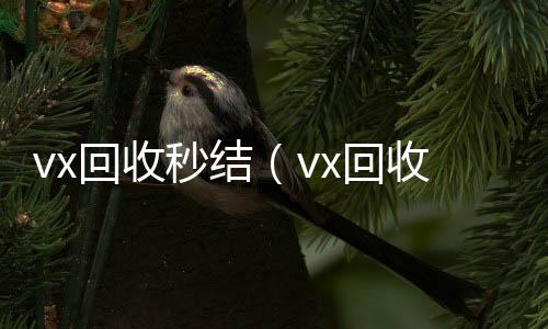 vx回收秒结24小时回收vx秒结（vx回收秒结500）